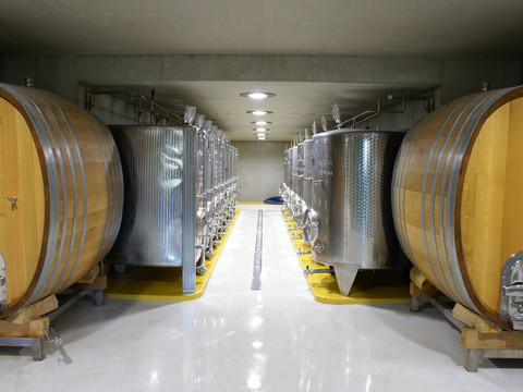 Weinkeller des Weingutes Vincenz Richter