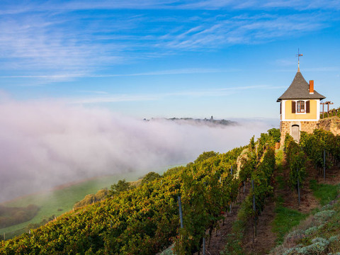 Nebelschwaden neben dem Schwalbennest