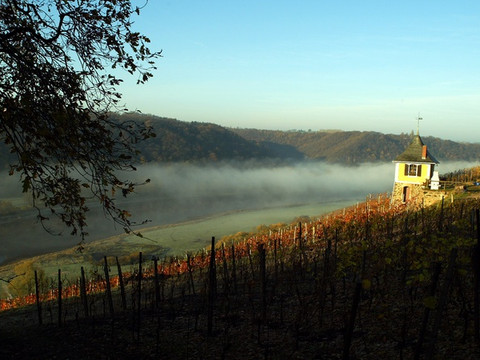 Herbststimmung am Schwalbennest, Meißen