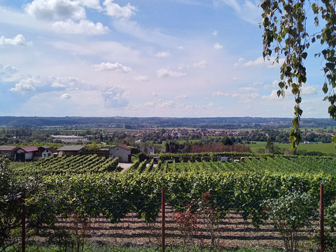 Blick von der Freilichtbühne Gellertberg