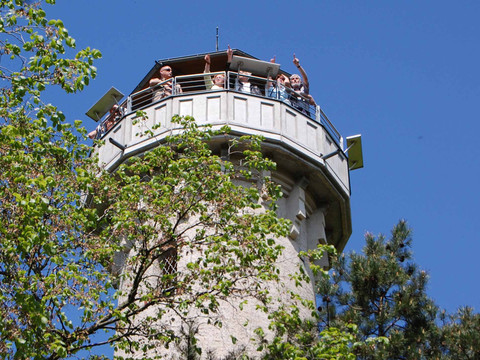Aussichtsplattform des König-Albert-Turmes
