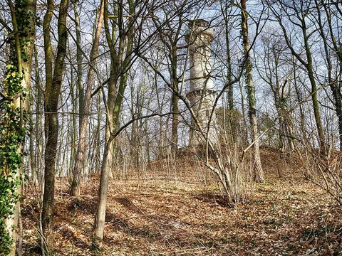König Albert Turm in Weinböhla