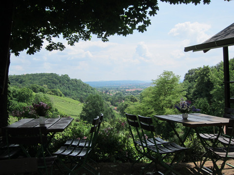 Winzerei Paradiesberg