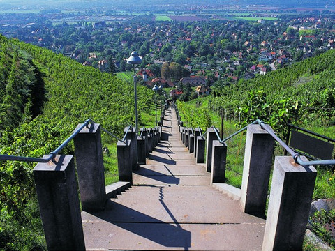 Spitzhaustreppe in Radebeul