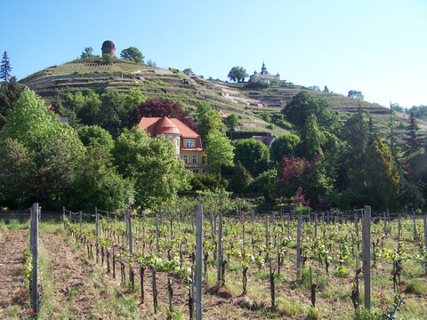 Bismarckturm und Spitzhaus