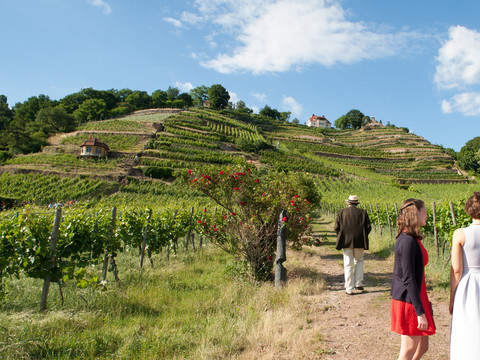Spaziergänger Wein- und Kunstwanderweg