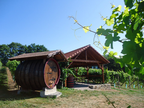 Besenwirtschaft Gut Pesterwitz