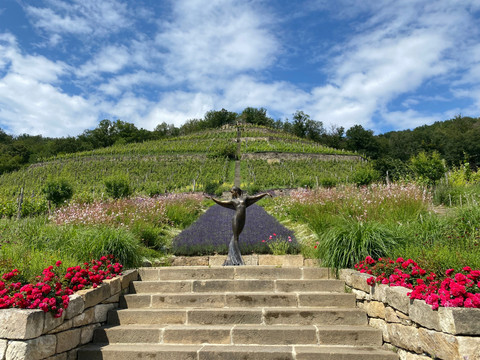 Rysselkuppe mit Skulptur am Weingut Zimmerling