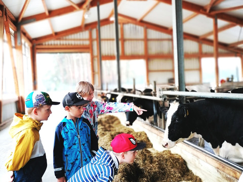 KRABAT-Milchwelt Kotten - Besuch im mordernen Kuhstall