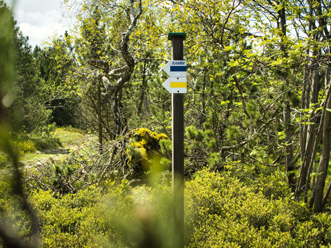 Kammweg Markierungszeichen beim Kahleberg