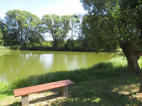 Teich am Jesorgraben