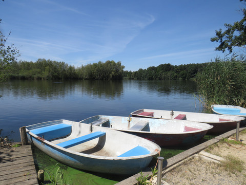 Ruderboote Mittelteich
