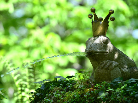 Märchenhaftes im Garten