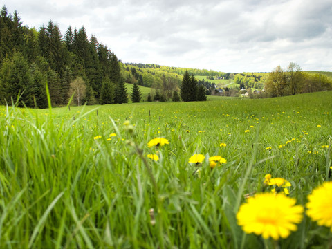 Im Tal der Wilden Weißeritz