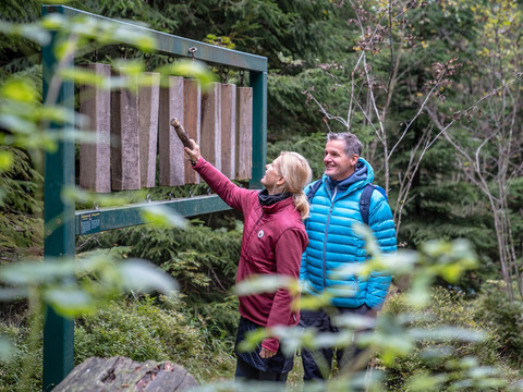 Waldlehrpfad am Auersberg