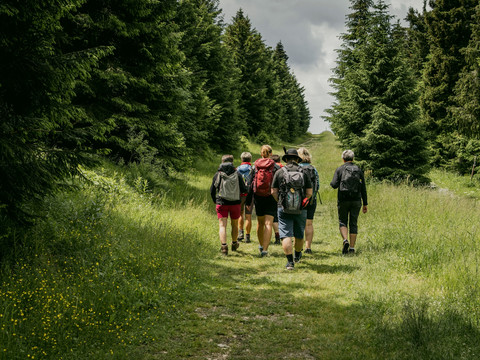 auf dem Kammweg beim Fichtelberg