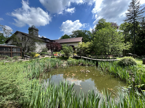 Teich auf dem Gelände des Butterberges