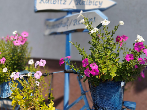 Froschradweg_Wegweiser Schönau