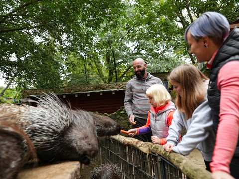 Die Tiere können im Görlitzer Tierpark gefüttert und hautnah erlebt werden