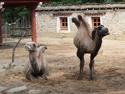 Naturschutz-Tierpark Görlitz