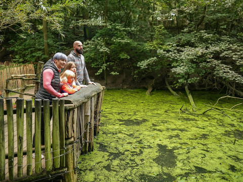 Auch Ruhe und Entspannung kommen im Görlitzer Tierpark nicht zu kurz
