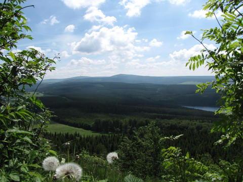 Blick vom Bärenstein auf den Fichtelberg