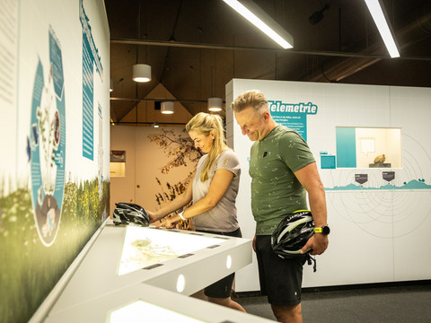 Ausstellung im HAUS DER TAUSEND TEICHE