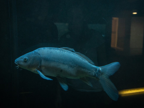 Ausstellung im HAUS DER TAUSEND TEICHE