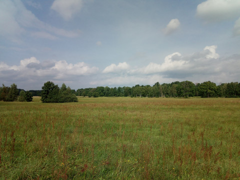 Wiesen am Naturerlebnispfad Guttauer Teiche und Olbasee