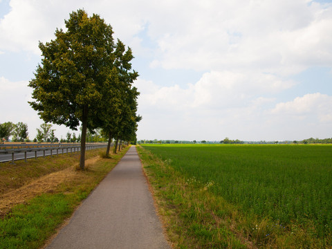 Radweg vor Eilenburg