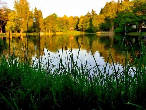 Luisa See Bad Elster