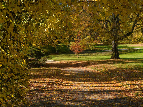 Herbstimpression im Stadtpark Plauen
