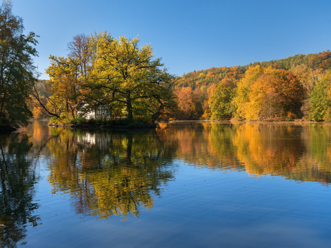 See im Fürstlich Greizer Park
