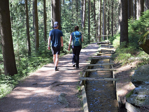 Wanderung am Röhrgraben