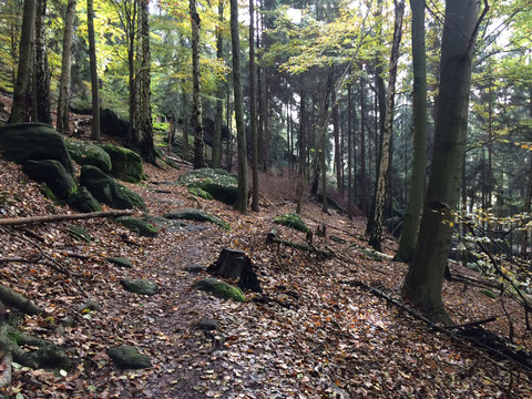 Aufstieg zur Hohen Liebe