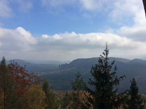 Ausblick von der Hohen Liebe zu den Affensteinen Aussicht auf bewaldete Hügel und Felsen unter einem bewölkten Himmel.