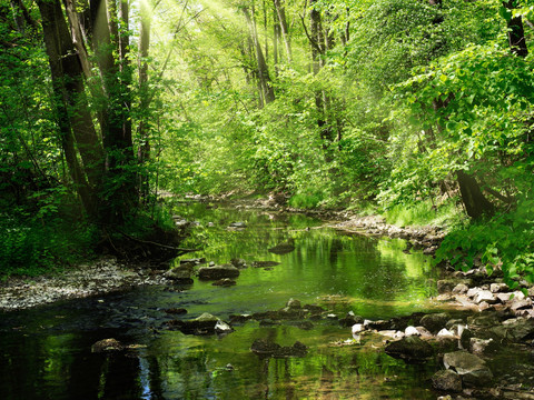 Im Triebtal bei Jocketa ©S.Theilig