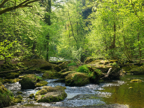 Im Triebtal bei Jocketa / Vogtländische Schweiz