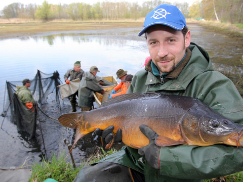 Abfischen bei der Teichwirtschaft Ringpfeil