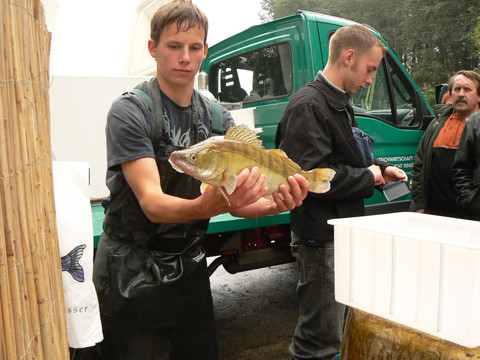 Zu Gast bei den Teichwirten