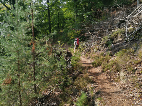 Hangweg entlang der Elbe