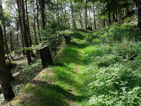 Abstieg vom Zschirnstein