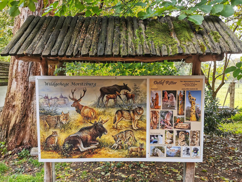 Wildgehege Moritzburg