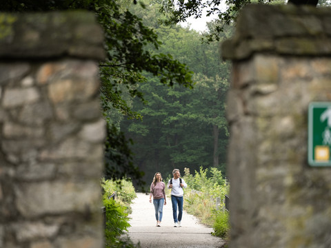 Wanderbrücke am Großteich