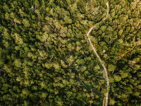 Georgenfelder Hochmoor, Luftaufnahme