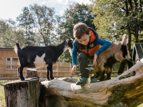 Wildpark Osterzgebirge