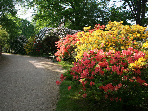 Albertpark vor dem Königlichen Kurhaus Bad Elster