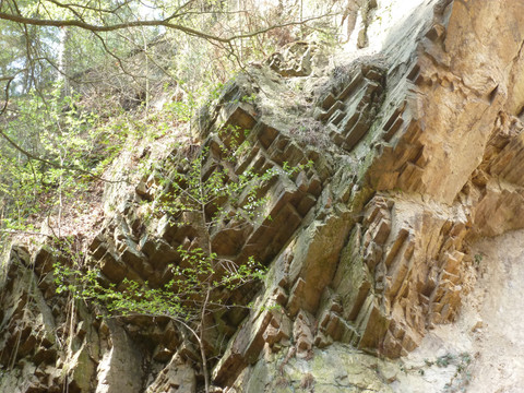 säulenförmige Ausbildung