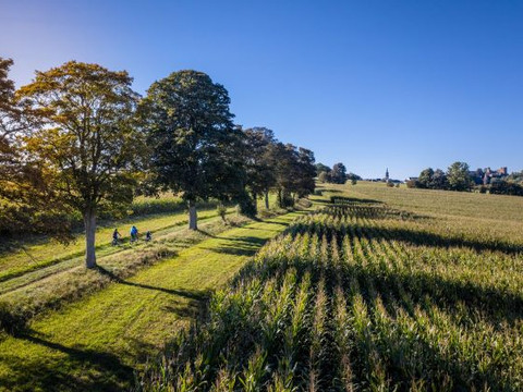 Blockline- Richtung Frauenstein