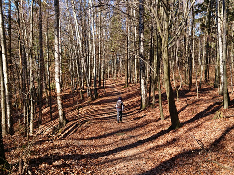 Weg in den Schulzengrund